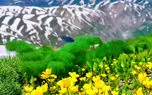از فرا رسیدن بهار در قندیل تا زیبایی روستاهای ایران